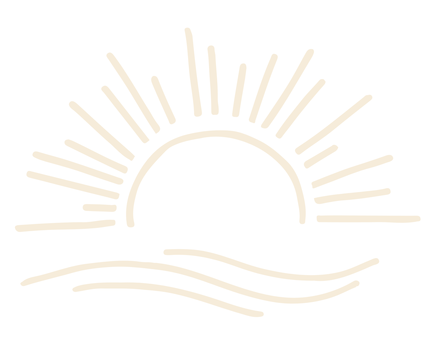 surf vague soleil